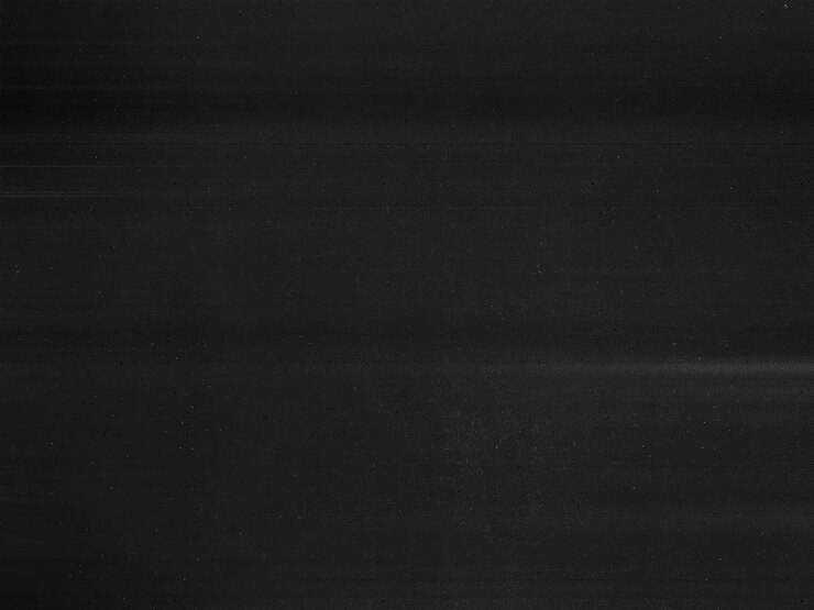 Colección de fondo negro