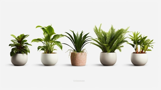 Colección de hermosas plantas en ollas de cerámica aisladas sobre un fondo transparente IA generativa