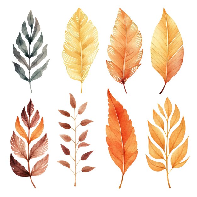 Colección de hojas de otoño conjunto de ilustración acuarela