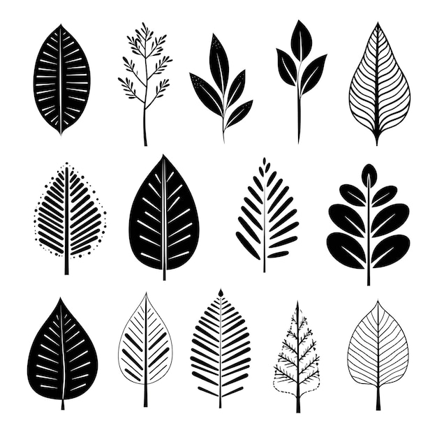 Una colección de ilustraciones en blanco y negro de hojas y plantas.