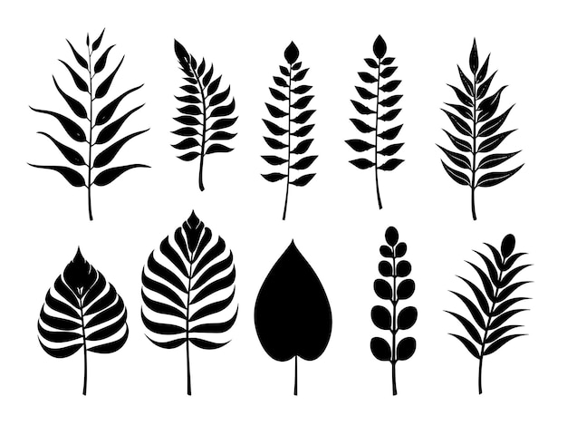 Una colección de ilustraciones en blanco y negro de plantas.