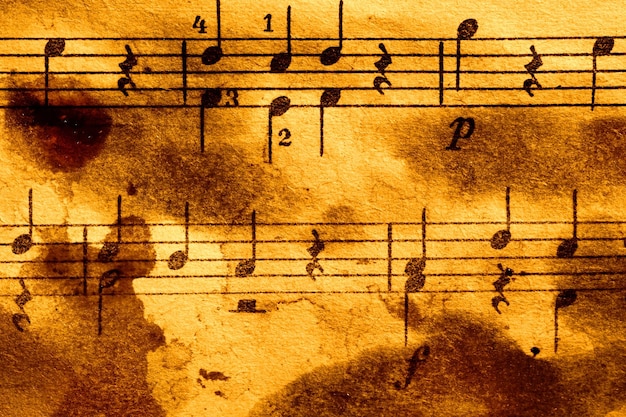 Colección de instrumentos musicales artesanales de madera