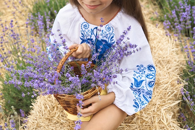 Colección de lavanda en una canasta en manos de una niña de cerca