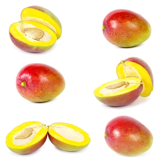 colección de mangos