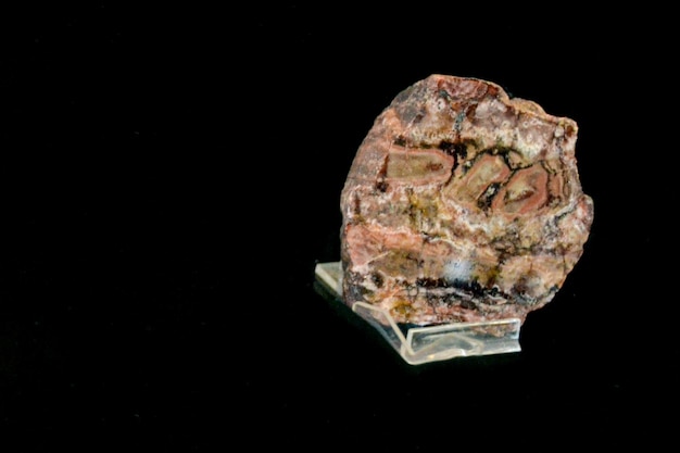Foto una colección de minerales del mar en una mesa de vidrio