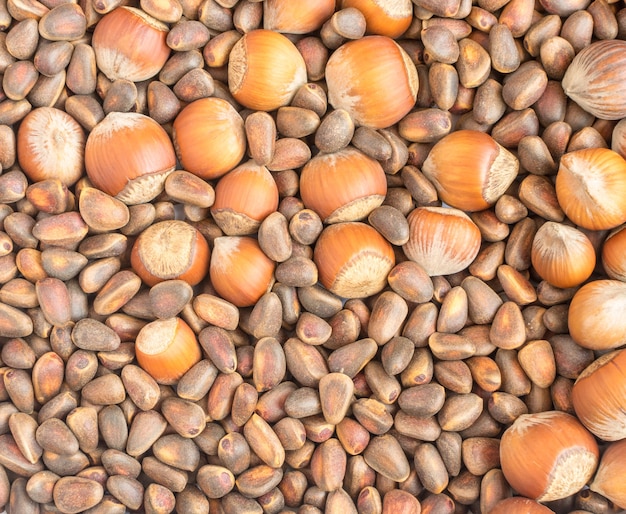 Colección de Nueces y Avellanas con Cáscara. Piñones endecha plana y fondo de vista superior