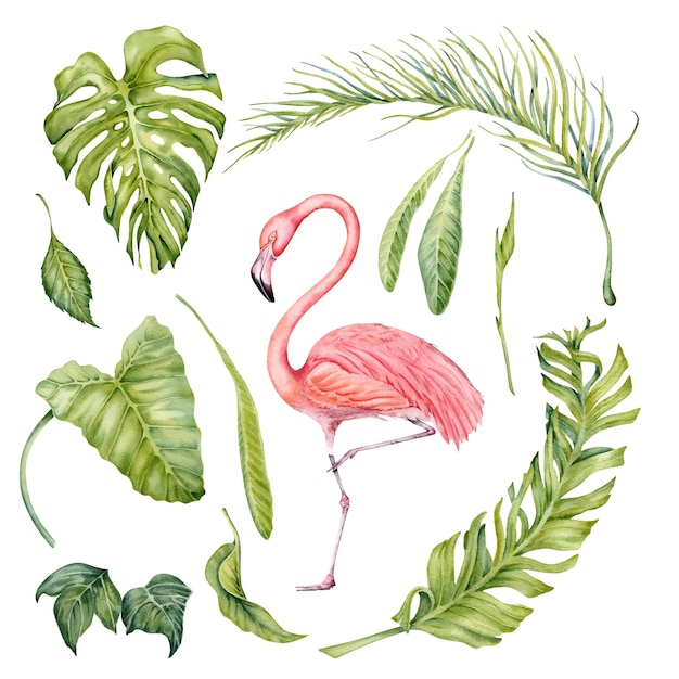 Colección pintada a mano en acuarela de hojas tropicales y pájaro flamenco Elementos sobre fondo blanco