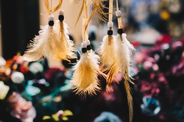 Colección de plumas de aves de colores brillantes