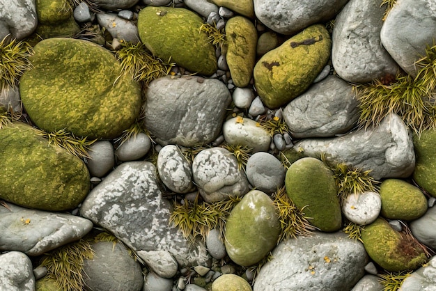 Una colección de rocas en una playa con la palabra mar.