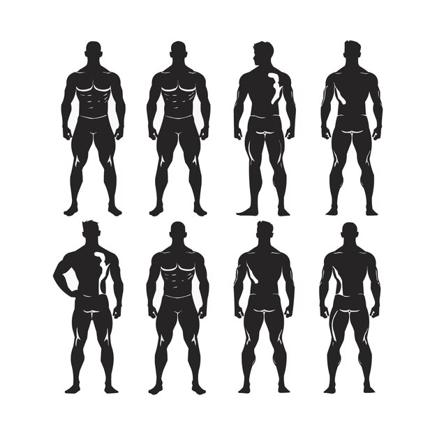 colección de siluetas de cuerpos masculinos posando con diferentes acciones corporales vector aislado