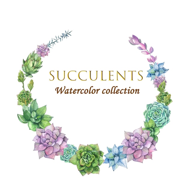 Colección de suculentas acuarela Ilustración verde lila azul flores marco corona elemento de diseño para postales invitaciones carteles embalajes blogs sitios web