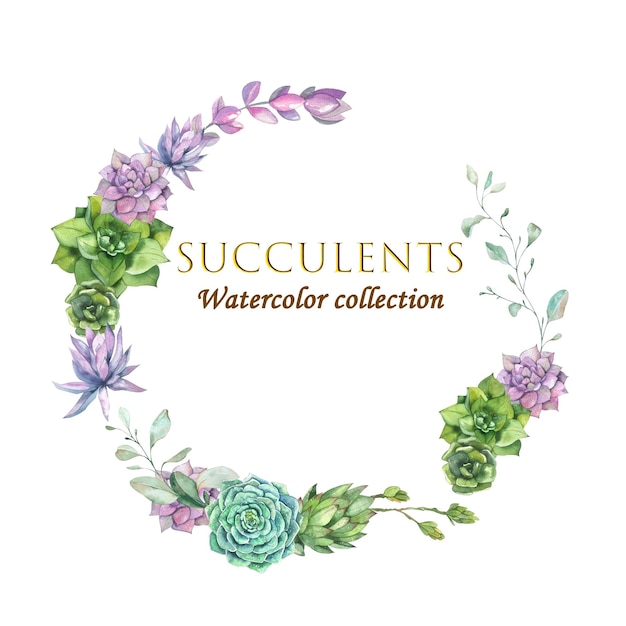 Colección de suculentas acuarela Ilustración verde lila azul flores marco corona elemento de diseño para postales invitaciones carteles embalajes blogs sitios web