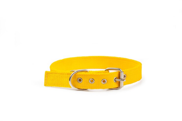 Foto coleira de cachorro amarelo em um fundo branco com espaço de cópia