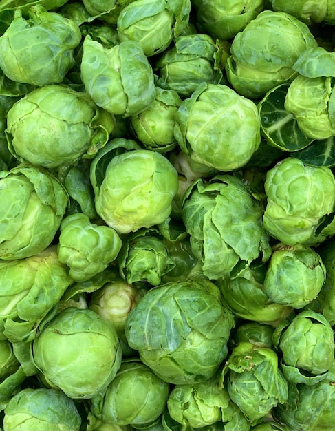 coles de bruselas frescas de cerca. fondo verde para el mercado de verduras.