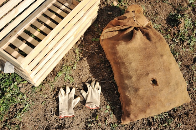 Foto coleta colheita no outono, ferramentas, luvas, caixa vazia e bolsa para isso