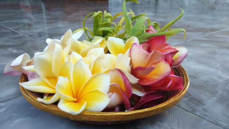 Foto coleta de flores para oração
