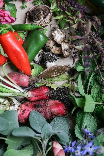 Coleta de vegetais e flores caseiros após a colheita do jardim doméstico