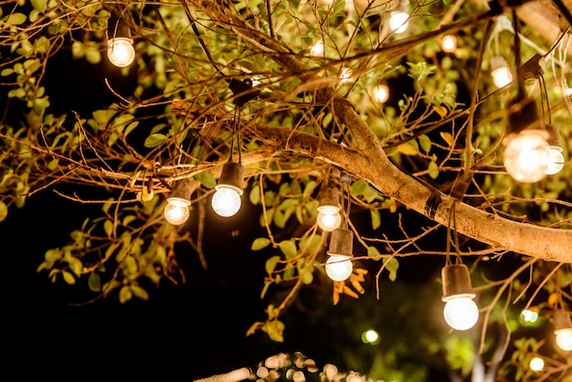 Colgante decorativo al aire libre en el árbol