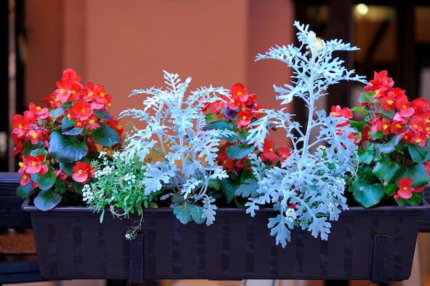 Colgar flores en la entrada del restaurante.