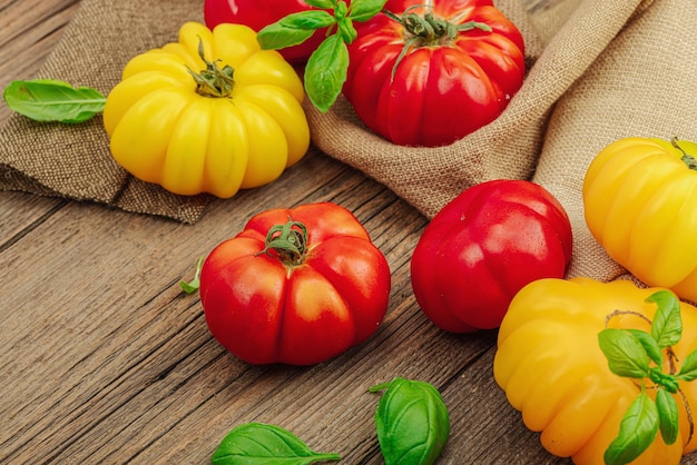 Colheita colorida de tomate tradicional Legumes maduros com nervuras com folhas frescas de manjericão Tábuas de madeira velhas com fundo plano e fechado
