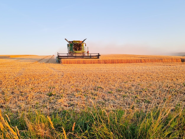 Colheita combina trabalhando no campo de trigo ao pôr do sol transporte agrícola moderno Colheitadeira Colheita rica Imagem agrícola