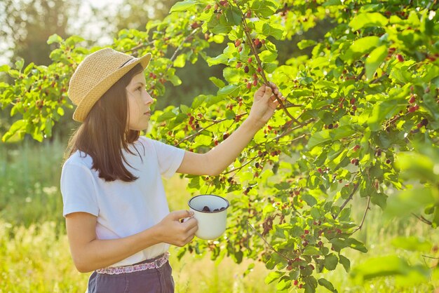 Colheita de amoras no jardim. Menina rasgando bagas em uma caneca de amoreira, plano de fundo de dia ensolarado de verão. Alimentação saudável com vitaminas naturais