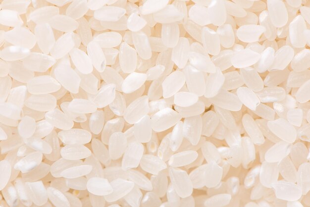 Colheita de arroz comestível branco polido cru em fundo branco em tigela marrom conceito de design de agricultura orgânica Alimento básico da Ásia de perto