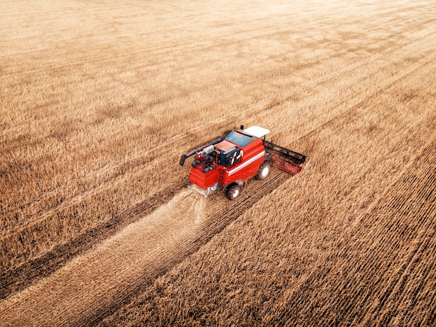 Colheita de colheita de máquina de agricultura em campos. O trator puxa um mecanismo para a produção de feno. Colheita no outono pela manhã ao amanhecer. agronegócio na região de Altai, Rússia.