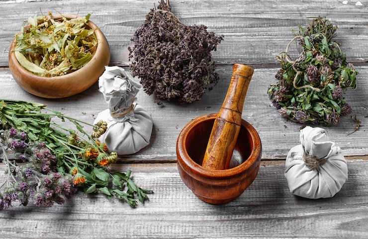 Foto colheita de ervas medicinais e plantas