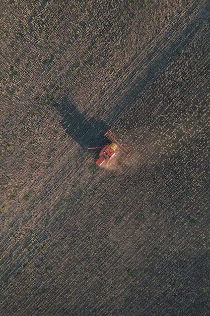 Colheita de máquinas de colheita no campo argentino Província de Buenos Aires Argentina