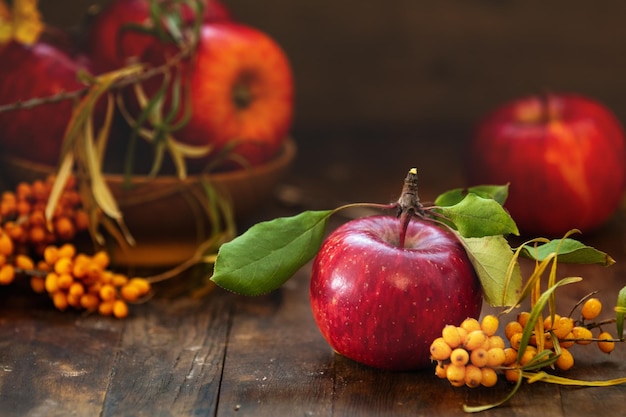 Colheita de outono frutas de maçãs vermelhas em um fundo de mesa de madeira Copiar espaço Estilo rústico escuro