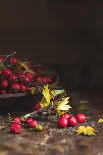 Colheita de outono Hawthorn berry com folhas em uma tigela sobre um fundo de mesa de madeira Copiar espaço Estilo rústico escuro Remédio natural