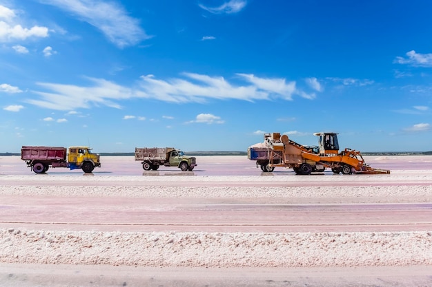 Colheita de sal mineral em La Pampa, Argentina