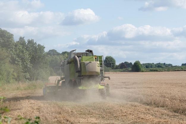 Foto colheita de trigo na temporada de verão por uma colheitadeira moderna agricultores garantindo o abastecimento de alimentos