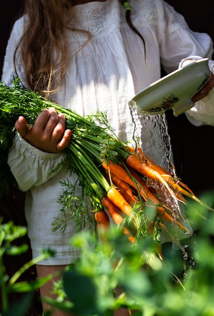 colheita de vegetais nas mãos de uma menina