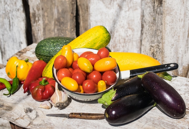 Colheita de verão de legumes orgânicos frescos e saudáveis