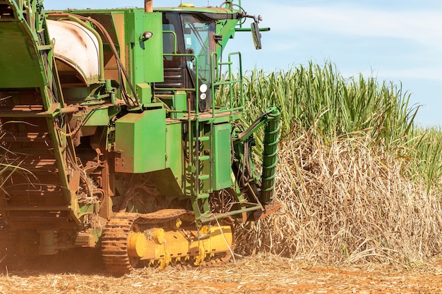 Colheita mecanizada de plantação de cana-de-açúcar