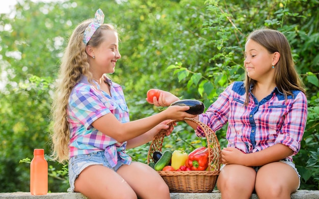 Colheita orgânica. Crianças recolhendo fundo de natureza de vegetais. Conceito de colheita de verão. Colheita natural. Jardim de irmãs felizes. Mercado agrícola. Vendendo o conceito de comida caseira. Crianças bonitas de meninas agricultura.