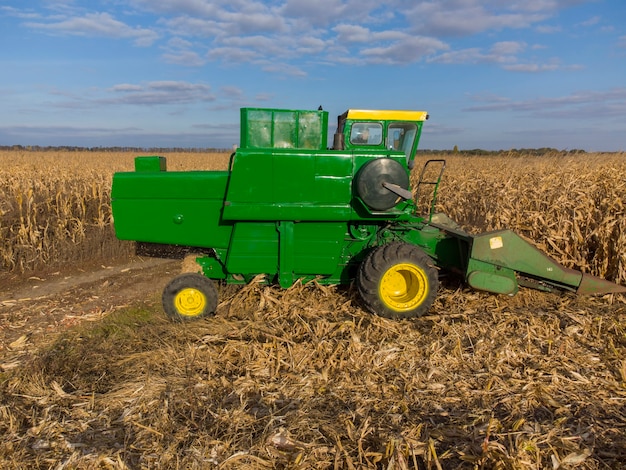 Colheita verde debulha milho no campo