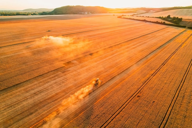 Colheitadeira agrícola colheitadeira de campo de trigo maduro dourado A colheitadeira está colhendo trigo no campo Preparação de grãos Agronomia e agricultura