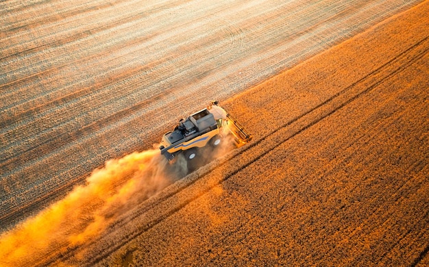 Foto colheitadeira de cereais no campo