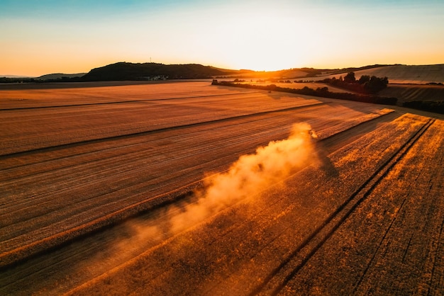 Colheitadeira de colheitadeira agrícola colhendo campo de trigo maduro dourado A colheitadeira está colhendo trigo no campo Preparação de grãos Agronomia e agricultura