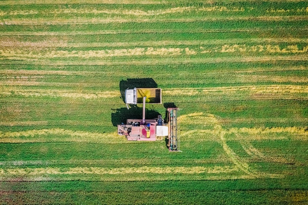 Foto colheitadeira de vista superior do campo agrícola colhendo em caminhão