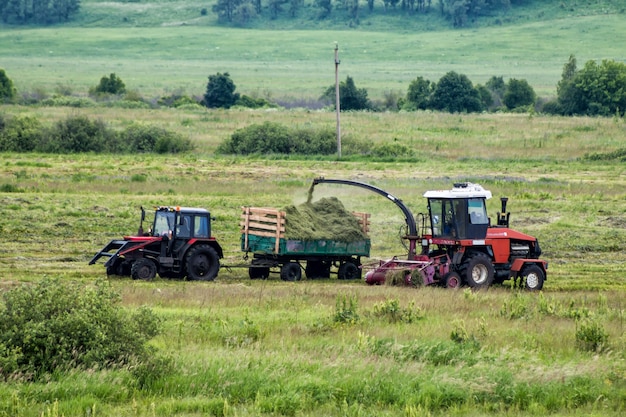 Colheitadeira e trator removem grama do campo