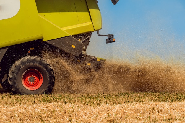 Colheitadeira em ação no campo de trigo