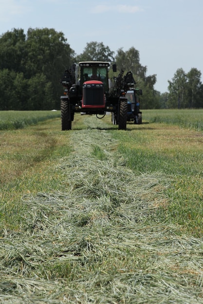 Colheitadeira em um campo de trigo com um céu azul