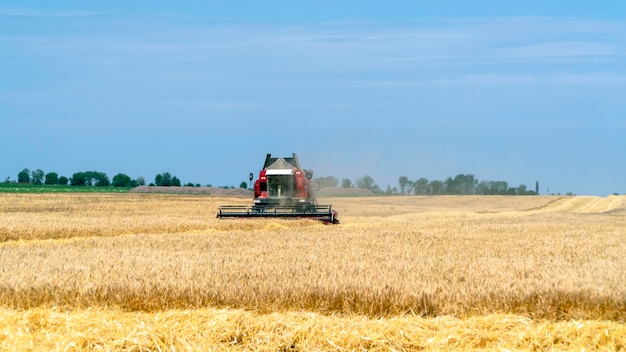 Colheitadeira em um campo de trigo