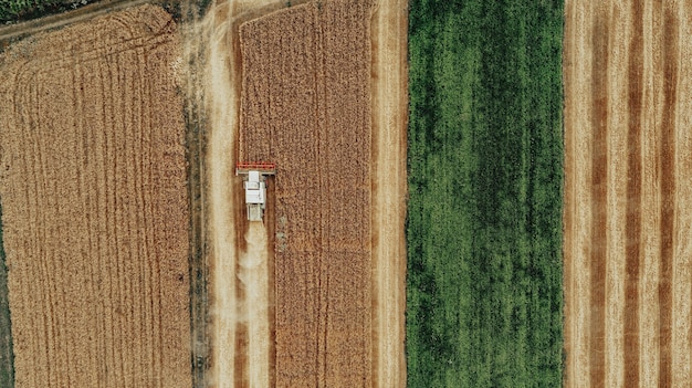 colheitadeira no campo foto aérea