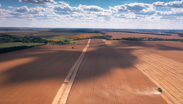 Colhendo as recompensas Visão do drone da colheita do trigo no verão