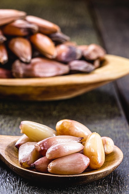 colher com sementes de pinhao cozidas um ingrediente culinário típico do sul do Brasil